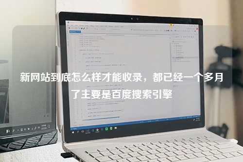 新网站到底怎么样才能收录，都已经一个多月了主要是百度搜索引擎
