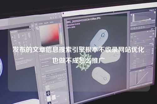 发布的文章信息搜索引擎根本不收录网站优化也做不成怎么推广